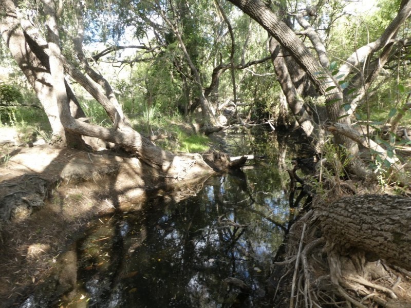 105 FOUNDATION ROAD, Dallarnil QLD 4621