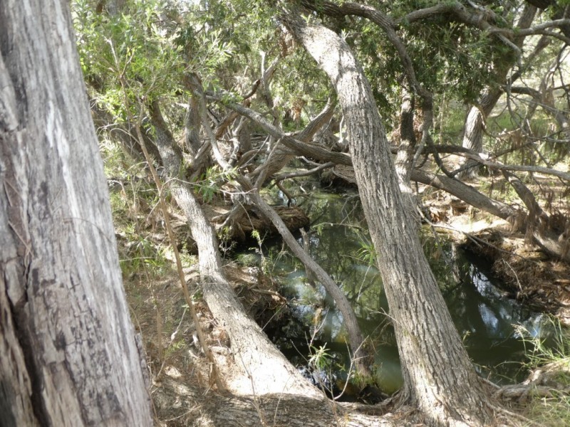 105 FOUNDATION ROAD, Dallarnil QLD 4621