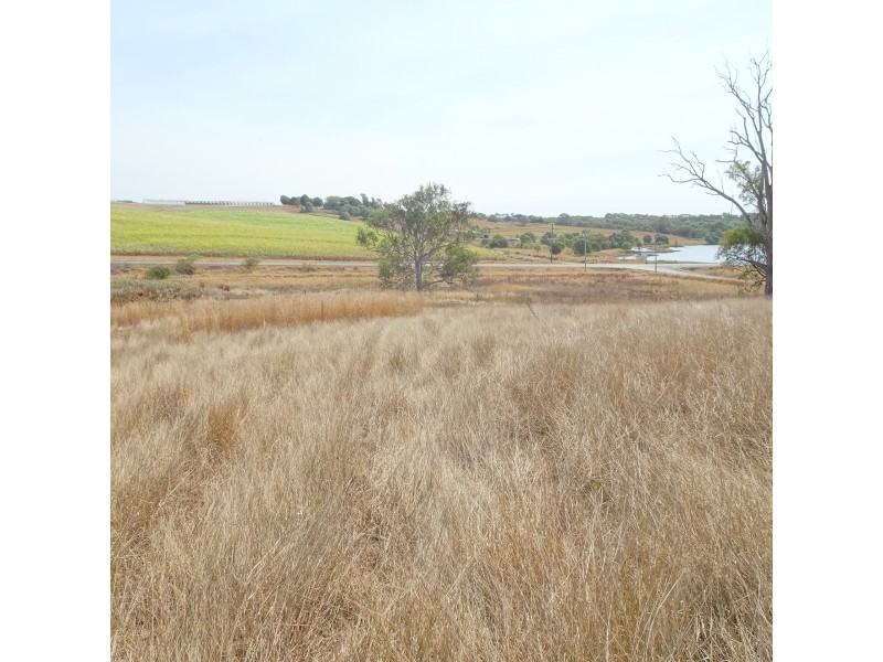 22 SOUTH ISIS ROAD, South Isis QLD 4660