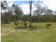 27369 BRUCE HIGHWAY, Isis River QLD 4660