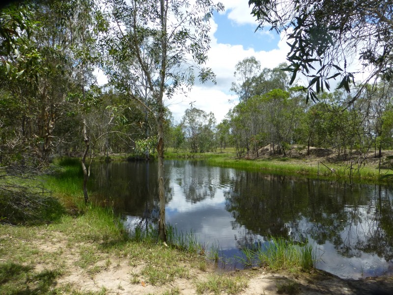 27369 BRUCE HIGHWAY, Isis River QLD 4660