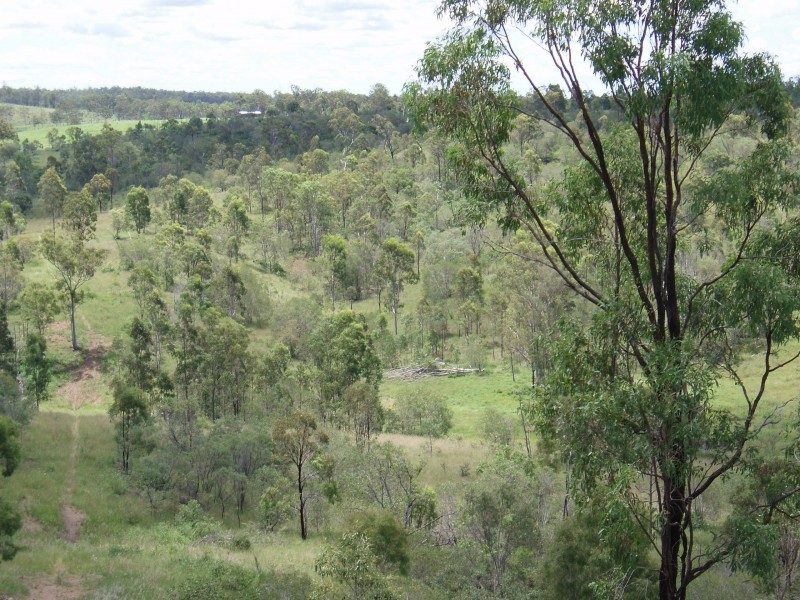 82 MT GOONANEMAN ROAD, Dallarnil QLD 4621