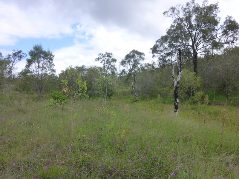 82 MT GOONANEMAN ROAD, Dallarnil QLD 4621