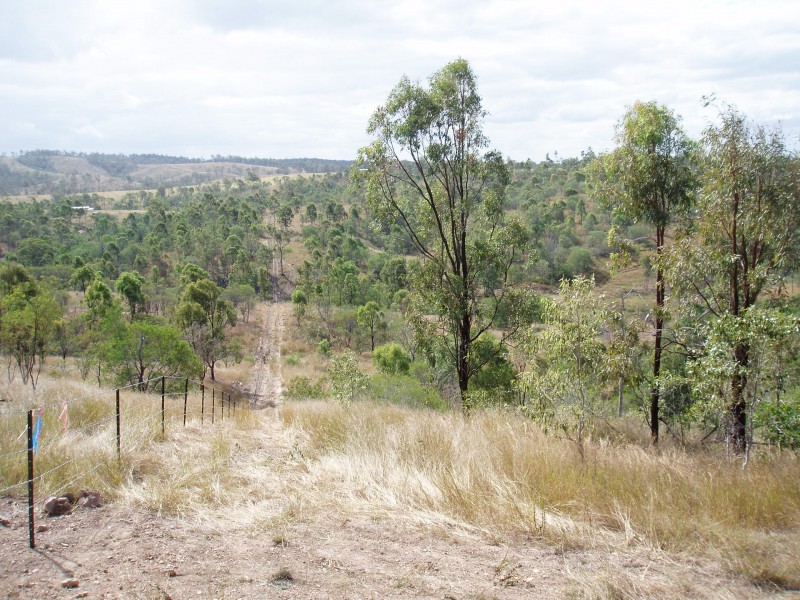 82 MT GOONANEMAN ROAD, Dallarnil QLD 4621