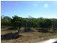7965 Isis Highway, Golden Fleece QLD 4621