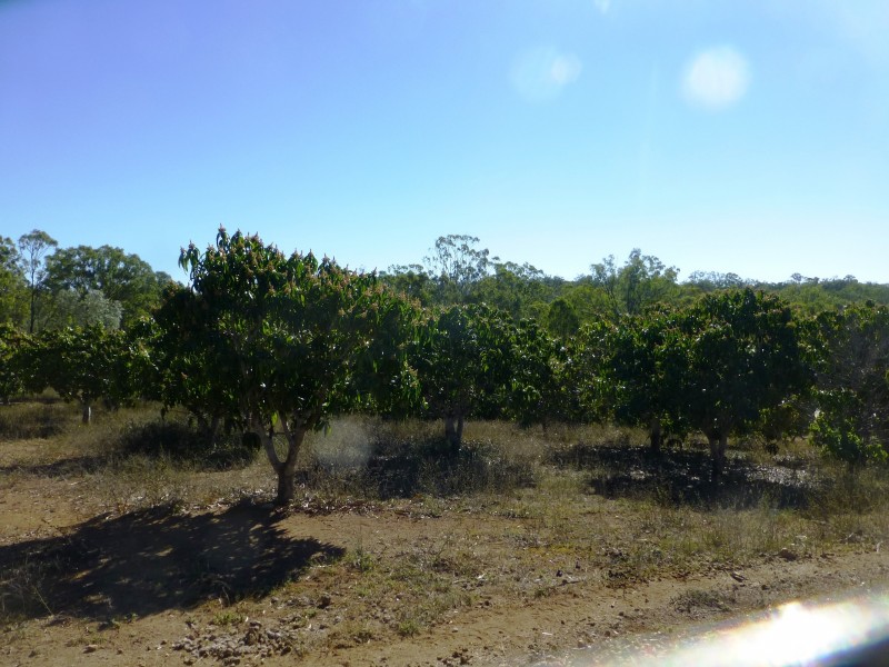 7965 Isis Highway, Golden Fleece QLD 4621