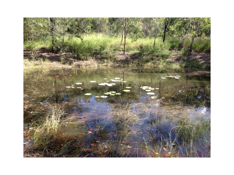 7965 Isis Highway, Golden Fleece QLD 4621