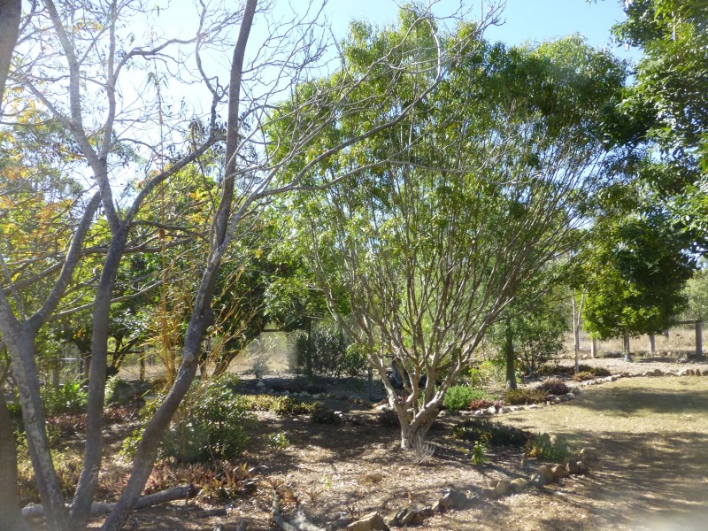 7965 Isis Highway, Golden Fleece QLD 4621