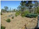 7965 Isis Highway, Golden Fleece QLD 4621