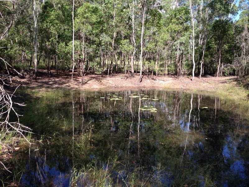 7965 Isis Highway, Golden Fleece QLD 4621