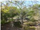 7965 Isis Highway, Golden Fleece QLD 4621
