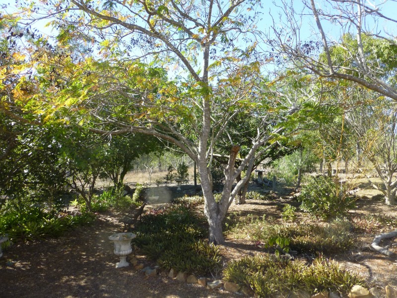 7965 Isis Highway, Golden Fleece QLD 4621