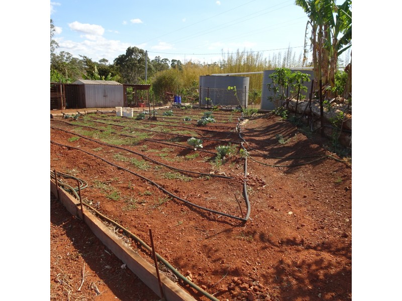 125 RAINBOWS ROAD, South Isis QLD 4660