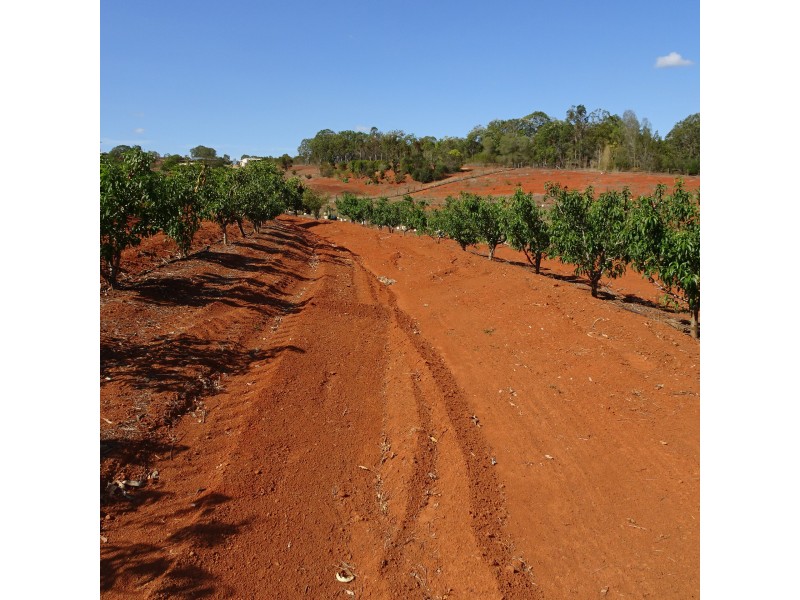 125 RAINBOWS ROAD, South Isis QLD 4660