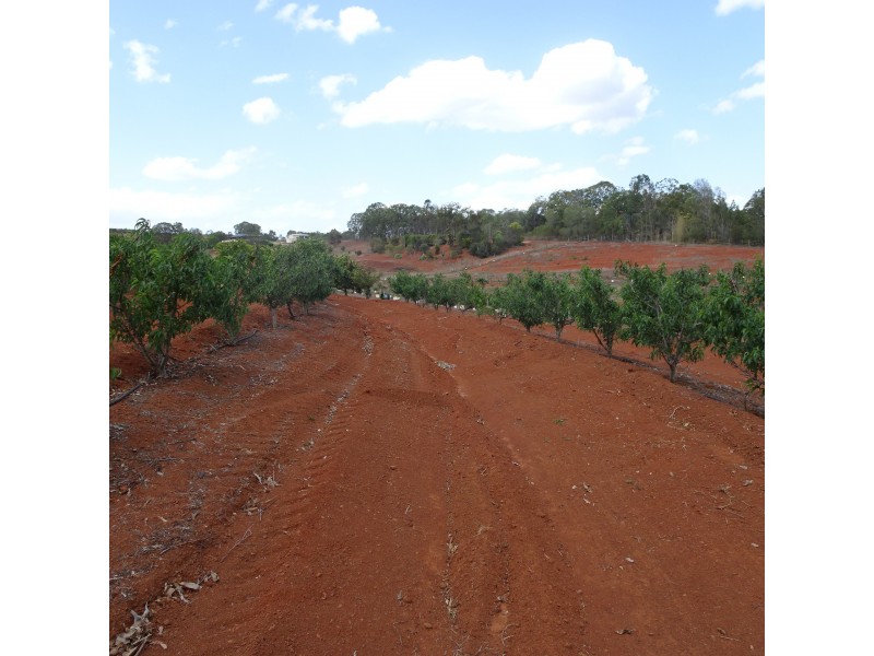 125 RAINBOWS ROAD, South Isis QLD 4660