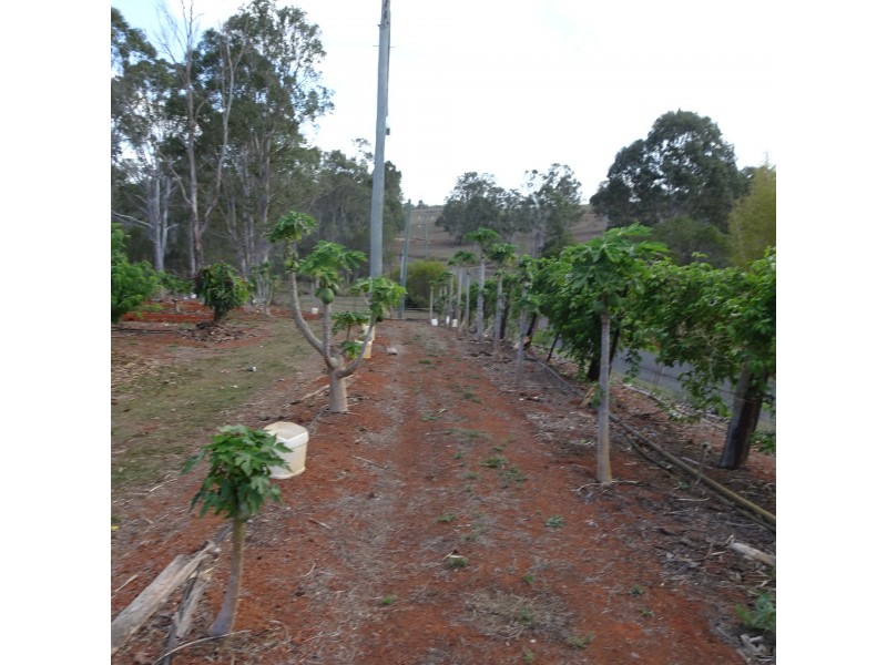 125 RAINBOWS ROAD, South Isis QLD 4660