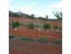 125 RAINBOWS ROAD, South Isis QLD 4660