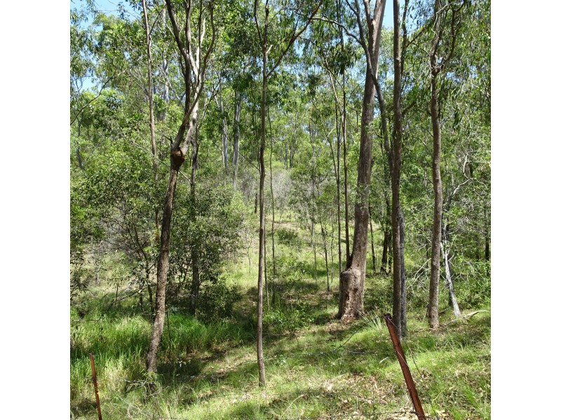 265 GENTLE ANNIE ROAD, Apple Tree Creek QLD 4660