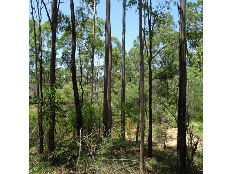 265 GENTLE ANNIE ROAD, Apple Tree Creek QLD 4660