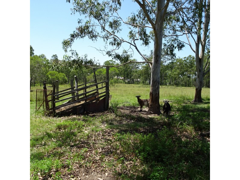265 GENTLE ANNIE ROAD, Apple Tree Creek QLD 4660