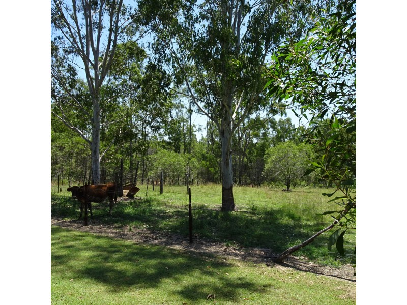 265 GENTLE ANNIE ROAD, Apple Tree Creek QLD 4660