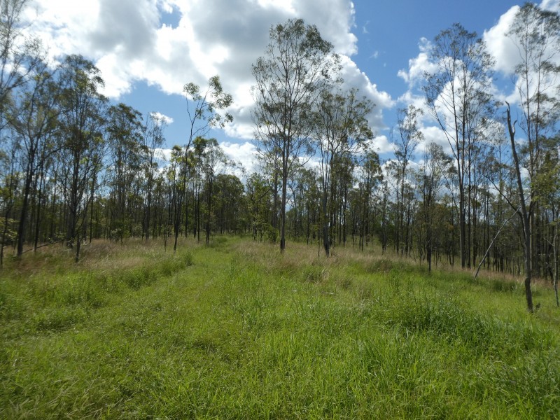 7836 ISIS HIGHWAY, Dallarnil QLD 4621