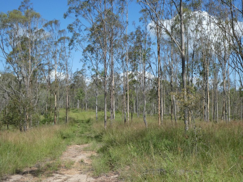 7836 ISIS HIGHWAY, Dallarnil QLD 4621