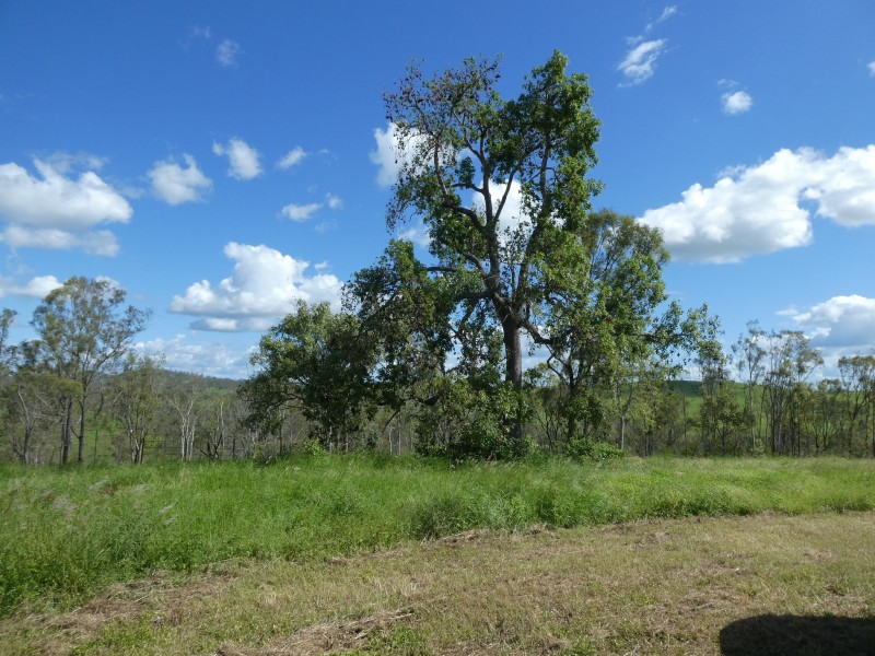 7836 ISIS HIGHWAY, Dallarnil QLD 4621