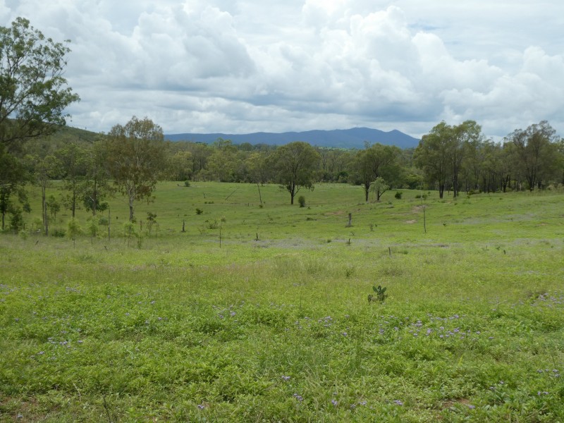 Coringa QLD 4621