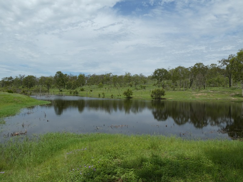 Coringa QLD 4621