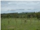 Coringa QLD 4621