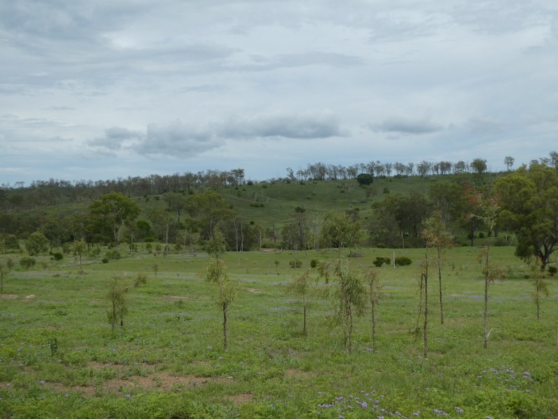 Coringa QLD 4621