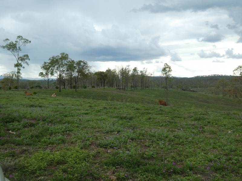 Coringa QLD 4621