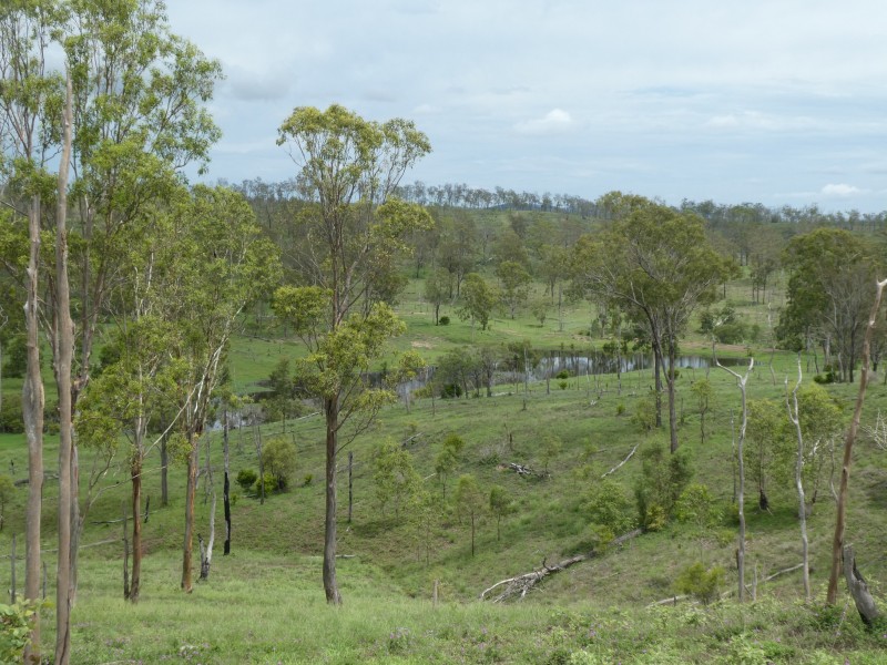 Coringa QLD 4621