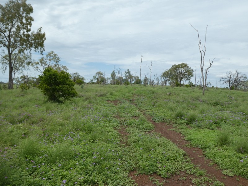 Coringa QLD 4621