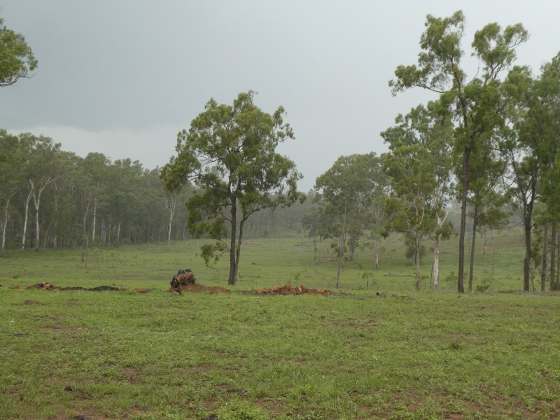 Coringa QLD 4621