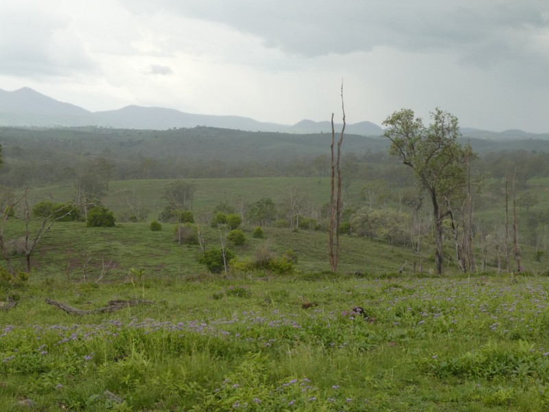 Coringa QLD 4621
