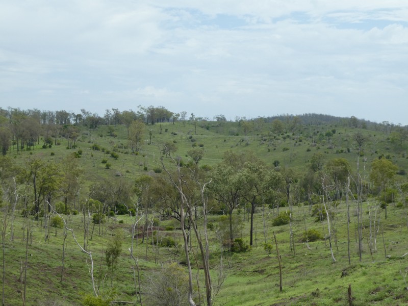 Coringa QLD 4621