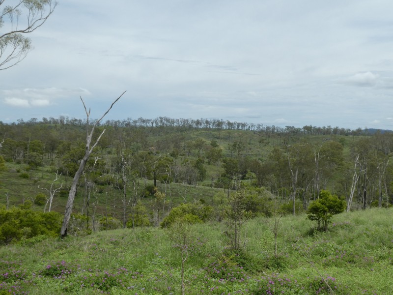 Coringa QLD 4621