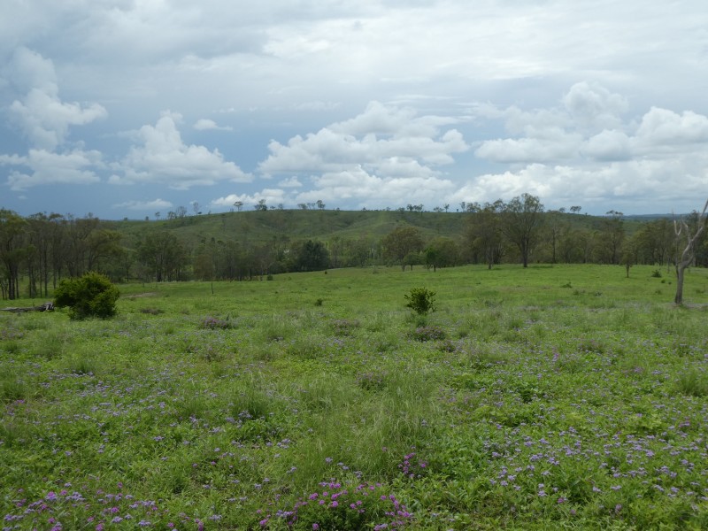 Coringa QLD 4621