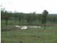 Coringa QLD 4621