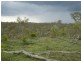 Coringa QLD 4621