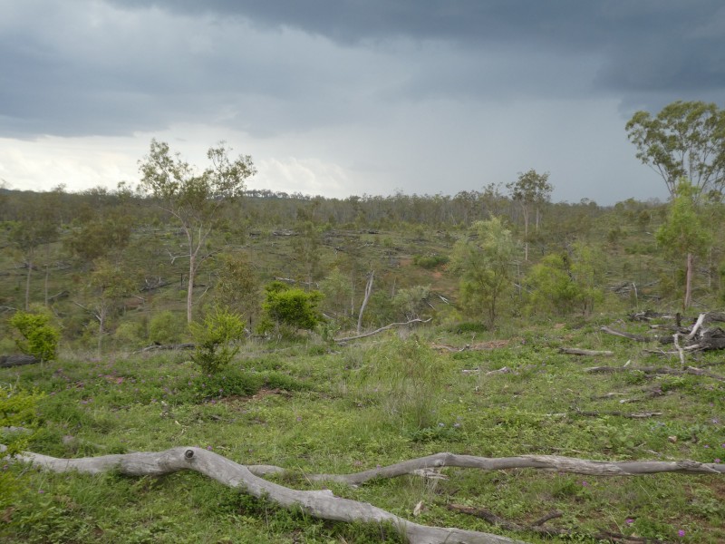 Coringa QLD 4621