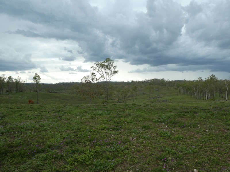 Coringa QLD 4621