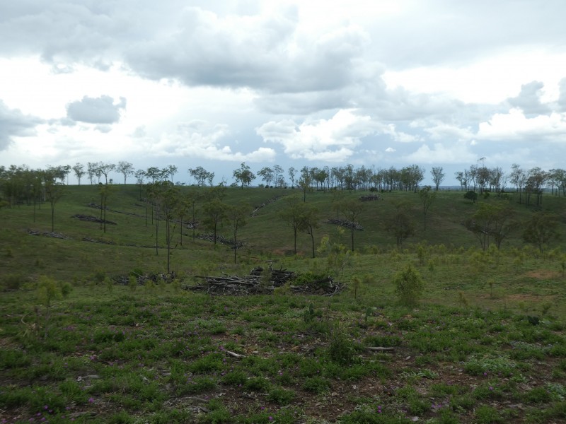 Coringa QLD 4621