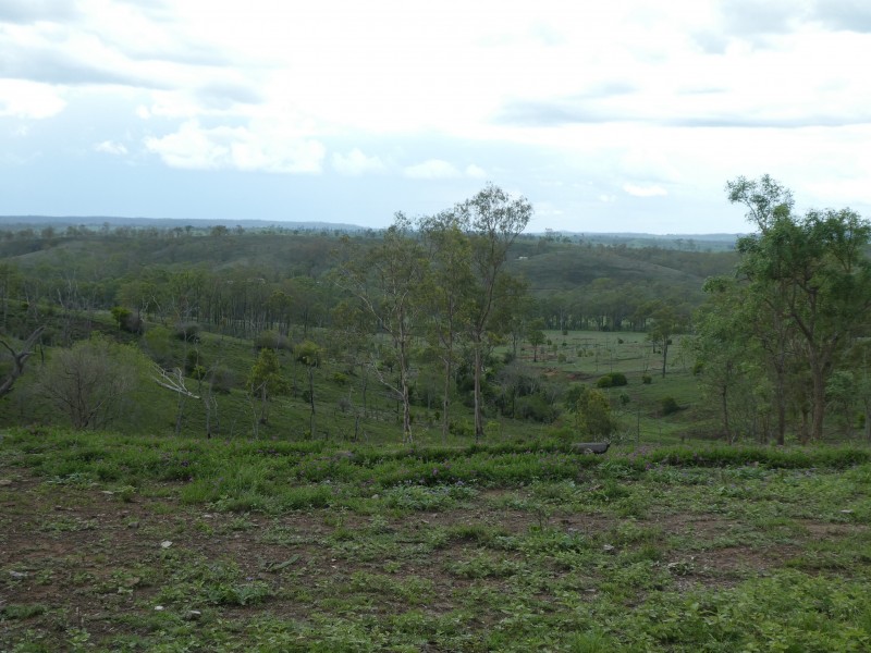 Coringa QLD 4621