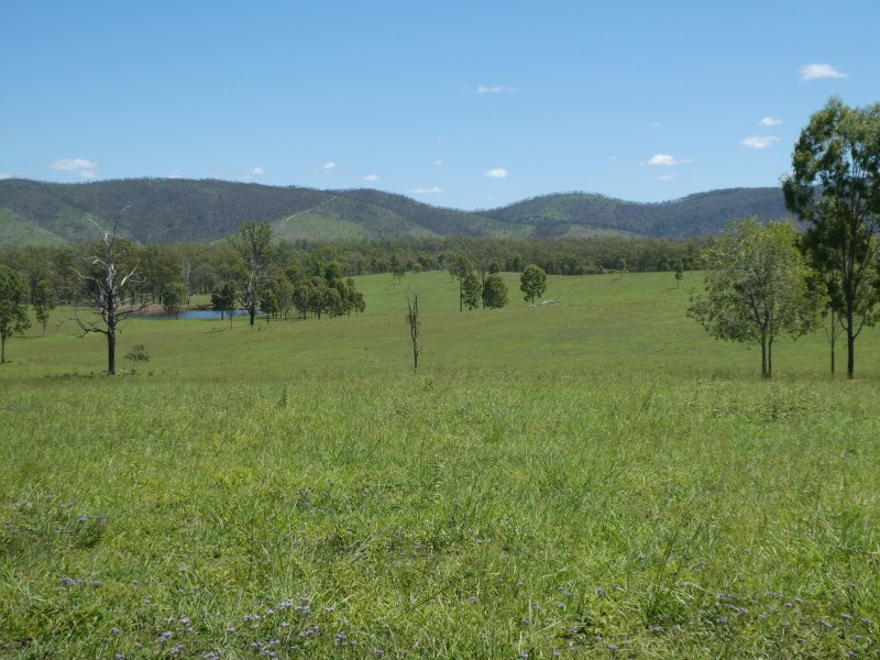 Mingo QLD 4625