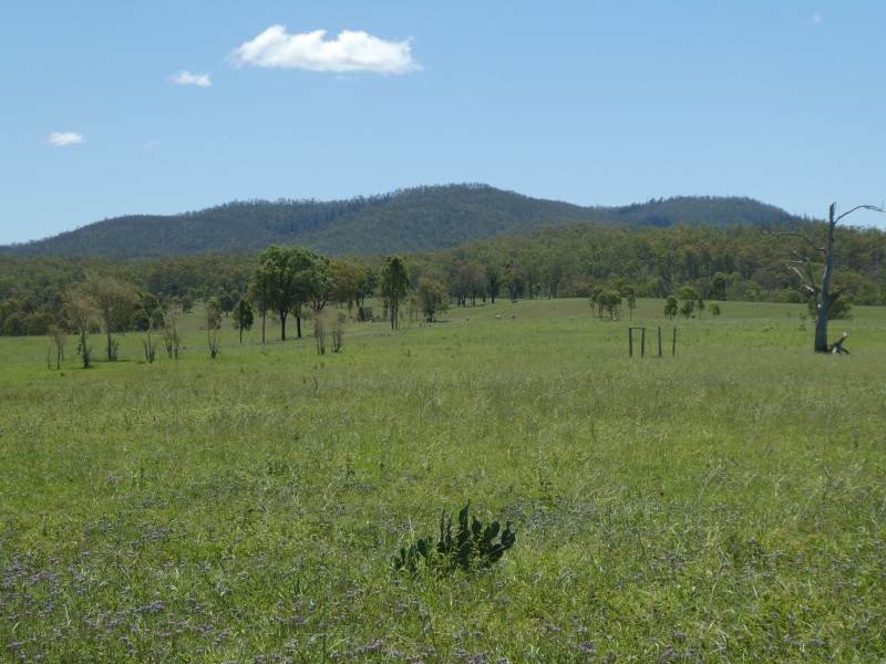 Mingo QLD 4625