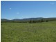 Mingo QLD 4625