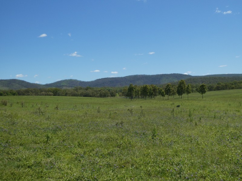 Mingo QLD 4625